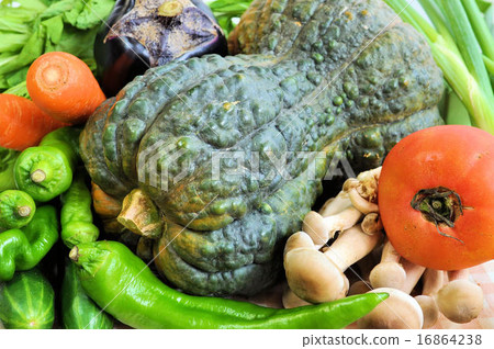 Kyo Vegetable Collection 16864238