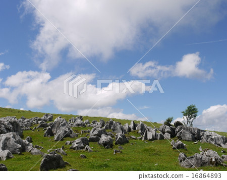 四國喀斯特 16864893