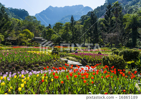 台灣新竹桃源仙谷 台灣新竹桃源仙谷 16865189