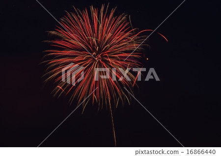 Fireworks festival of Sumida River Fireworks festival of Sumida River 16866440