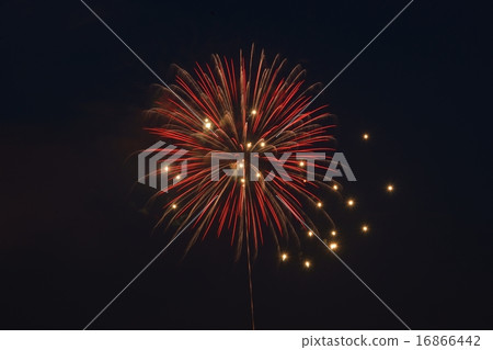 Fireworks festival of Sumida River 16866442