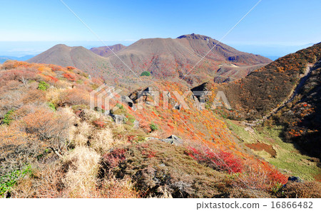 Autumn leaves 16866482