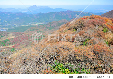 Autumn leaves 16866484