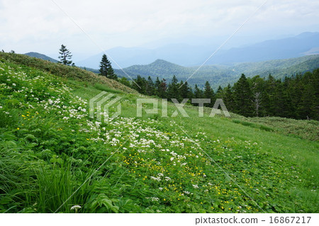 Hachimantai landscape 16867217
