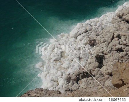在死海海岸沉澱出鹽晶體 16867663