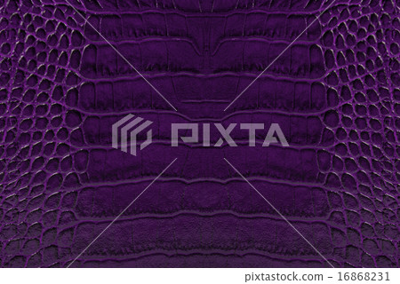 purple embossed leather texture background 16868231