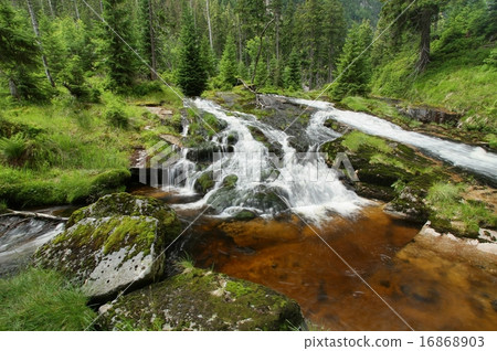 River Elbe in Krkonose mountains 16868903