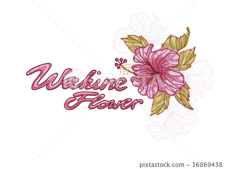 Hibiscus flower vector image 16869438