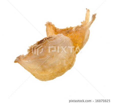 bird's nest. Edible bird's nest close up bird's nest. Edible bird's nest close up 16870825