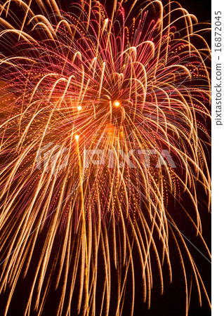 Fireworks 16872045