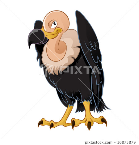 Vulture Vulture 16873879