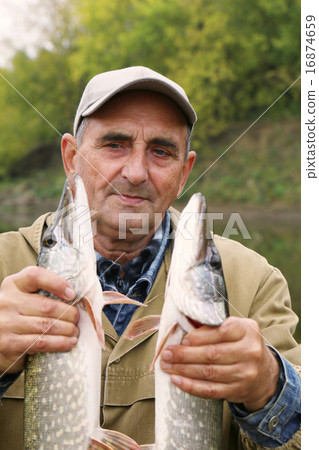 old fisherman and his catch - two pikes 16874659