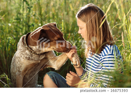 beautiful girl with dog 16875393