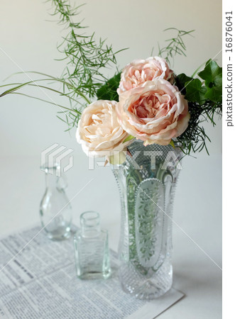 玫瑰 玫瑰 16876041