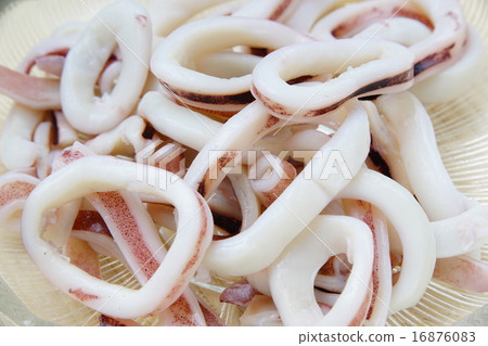 Squid ingredients 16876083