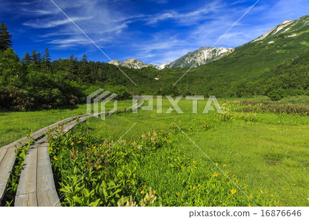 Tsugaike Nature Park 16876646
