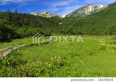 Tsugaike Nature Park 16876648