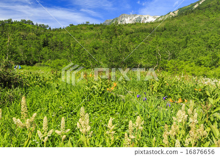 Tsugaike Nature Park 16876656