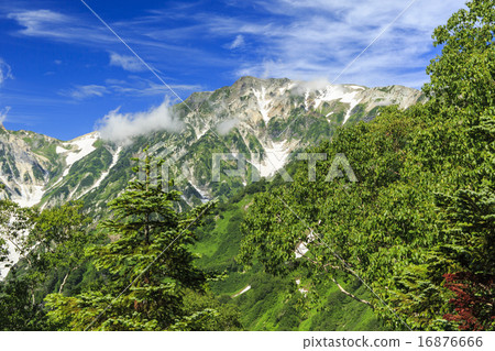 Tsugaike Nature Park 16876666