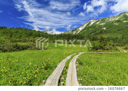 Tsugaike Nature Park 16876667