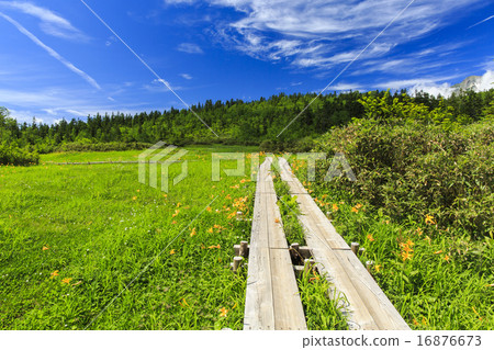 Tsugaike自然公園 Tsugaike自然公園 16876673