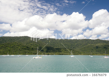 Shute Harbor, Airy Beach, Great Barrier Reef, Queensland, Australia-2 16876879