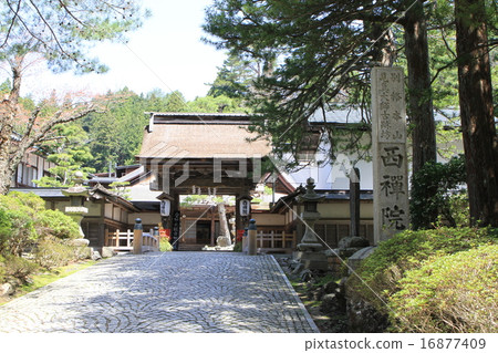 Mount Koya Special Head Temple Saizen-in 16877409
