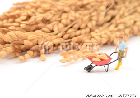 Image of agriculture 16877572