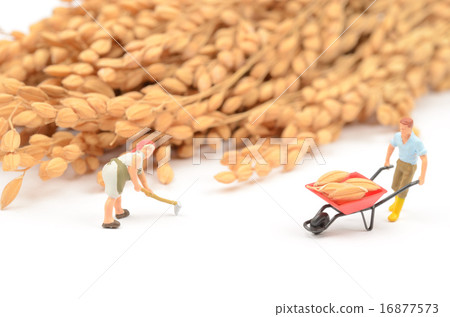 Image of agriculture 16877573