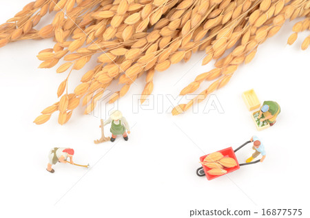 Image of agriculture Image of agriculture 16877575
