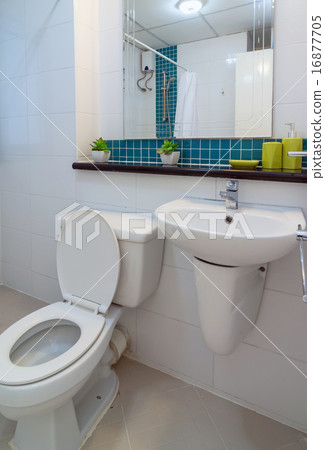 Luxury Interior bathroom Luxury Interior bathroom 16877705