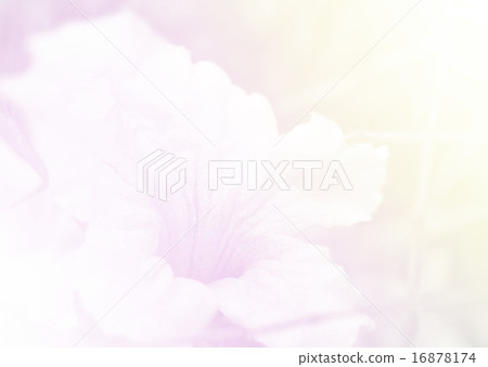 Closeup sweet color soft style Leather texture and background,Pi 16878174