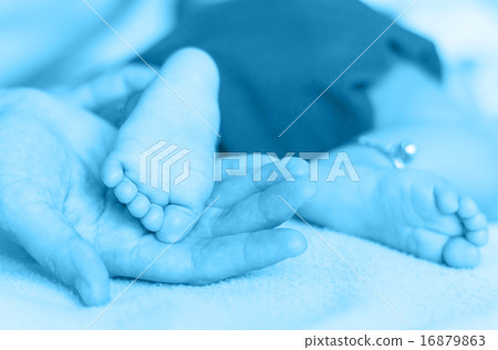 Baby feet on the mothers hand Baby feet on the mothers hand 16879863