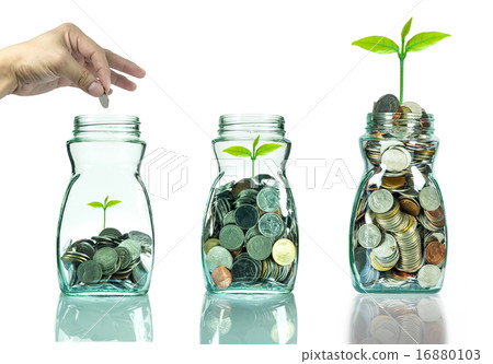 Mix coins and seed in clear blottle on white background,Business Mix coins and seed in clear blottle on white background,Business 16880103