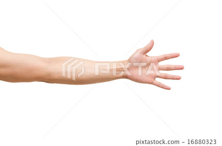 Man hands on white background,include clipping path Man hands on white background,include clipping path 16880323