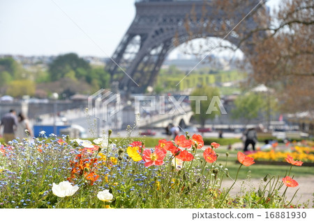 Eiffel Tower -18 Eiffel Tower -18 16881930