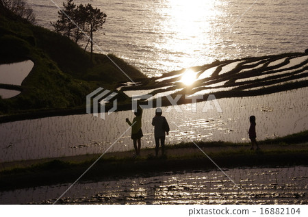 孩子們在夕陽下玩耍 16882104