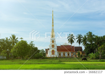 Thai Temple 16882117