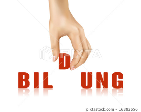 16882656