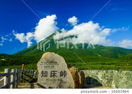 Rausu (Shari-cho Utoro)) 16883964