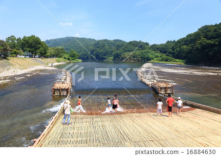 景觀與夏季傳統 16884630