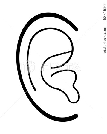 ear ear 16884636