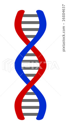 human genome, simplification, identification 16884637