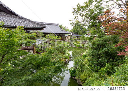 Half-summer students - Kenninji Temple 16884713