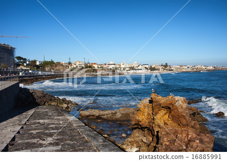 Estoril Coastline in Portugal 16885991