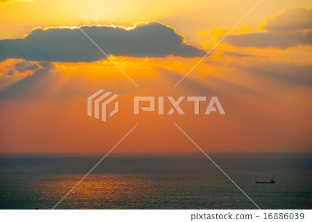 海的日落 16886039