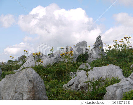 Teng Kogen of Shikoku Karst 16887138