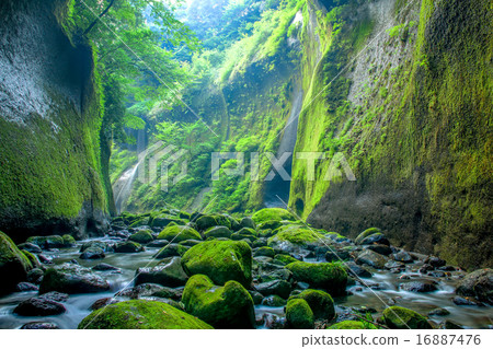 向Yufugawa Gorge Tsubakiri的方向 16887476