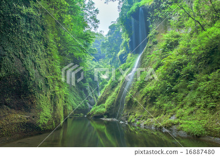 向Yufugawa Gorge Tsubakiri的方向 16887480