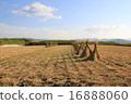 Rice Cake and Countryside Scenery 16888060
